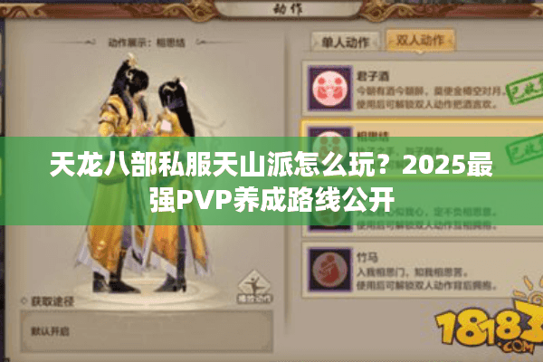 天龙八部私服天山派怎么玩?2025最强PVP养成路线公开 天龙八部私服天山派怎么玩?2025最强PVP养成路线公开