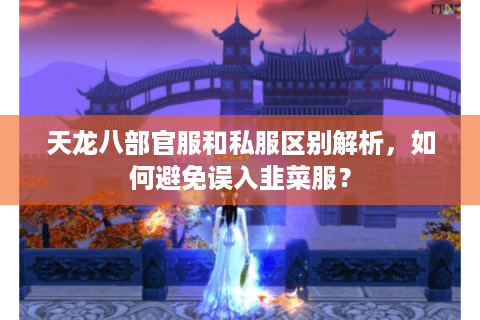 天龙八部官服和私服区别解析,如何避免误入韭菜服? 天龙八部官服和私服区别解析,如何避免误入韭菜服?