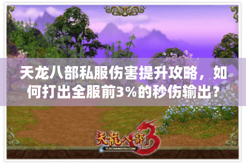 天龙八部私服伤害提升攻略，如何打出全服前3%的秒伤输出？