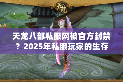 天龙八部私服网被官方封禁？2025年私服玩家的生存指南