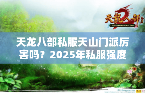 天龙八部私服天山门派厉害吗?2025年私服强度实测报告 天龙八部私服天山门派厉害吗?2025年私服强度实测报告