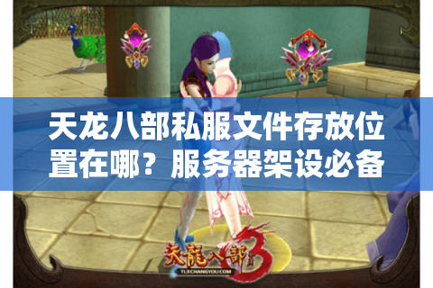 天龙八部私服文件存放位置在哪？服务器架设必备指南