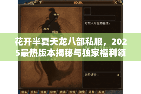 花开半夏天龙八部私服,2025最热版本揭秘与独家福利领取攻略 花开半夏天龙八部私服,2025最热版本揭秘与独家福利领取攻略