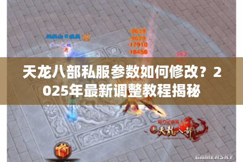 天龙八部私服参数如何修改?2025年最新调整教程揭秘 天龙八部私服参数如何修改?2025年最新调整教程揭秘