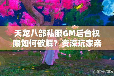 天龙八部私服GM后台权限如何破解？资深玩家亲测三种安全方案