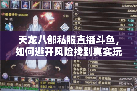 天龙八部私服直播斗鱼，如何避开风险找到真实玩家聚集地？
