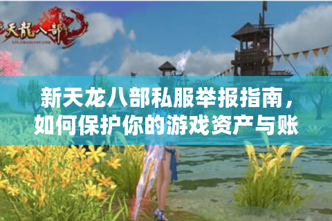 新天龙八部私服举报指南，如何保护你的游戏资产与账号安全？