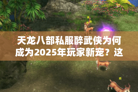 天龙八部私服醉武侠为何成为2025年玩家新宠?这些隐藏玩法必须知道 天龙八部私服醉武侠为何成为2025年玩家新宠?这些隐藏玩法必须知道