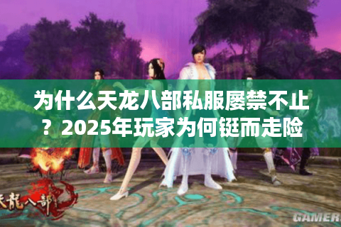 为什么天龙八部私服屡禁不止?2025年玩家为何铤而走险 为什么天龙八部私服屡禁不止?2025年玩家为何铤而走险