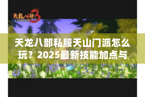 天龙八部私服天山门派怎么玩?2025最新技能加点与副本输出攻略 天龙八部私服天山门派怎么玩?2025最新技能加点与副本输出攻略