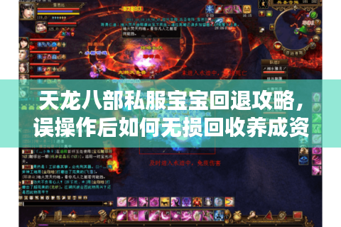 天龙八部私服宝宝回退攻略,误操作后如何无损回收养成资源? 天龙八部私服宝宝回退攻略,误操作后如何无损回收养成资源?