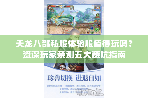 天龙八部私服体验服值得玩吗？资深玩家亲测五大避坑指南