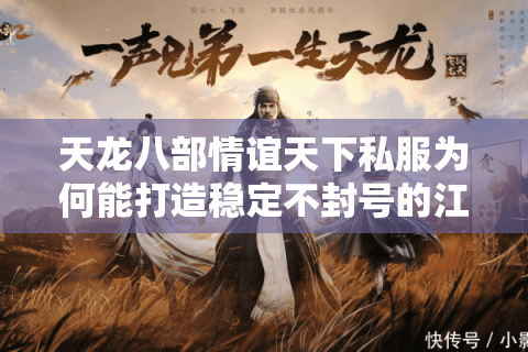 天龙八部情谊天下私服为何能打造稳定不封号的江湖生态? 天龙八部情谊天下私服为何能打造稳定不封号的江湖生态?