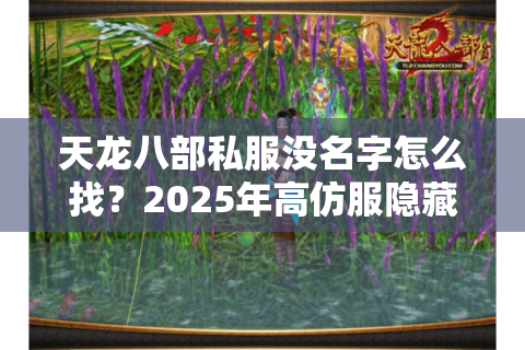 天龙八部私服没名字怎么找?2025年高仿服隐藏名单曝光 天龙八部私服没名字怎么找?2025年高仿服隐藏名单曝光