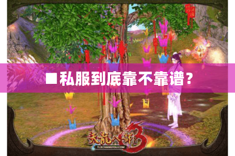 ■私服到底靠不靠谱? ■私服到底靠不靠谱?