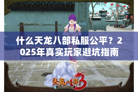 什么天龙八部私服公平？2025年真实玩家避坑指南