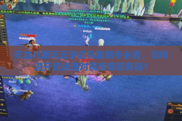 天龙八部风云争霸私服新手必看，如何避开坑点选对高爆率服务器？