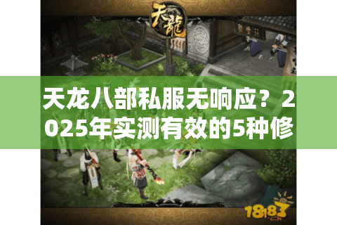 天龙八部私服无响应？2025年实测有效的5种修复方案