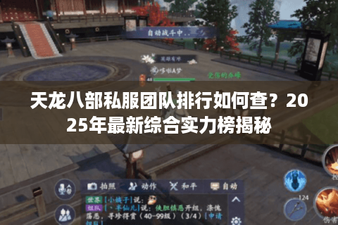 天龙八部私服团队排行如何查?2025年最新综合实力榜揭秘 天龙八部私服团队排行如何查?2025年最新综合实力榜揭秘