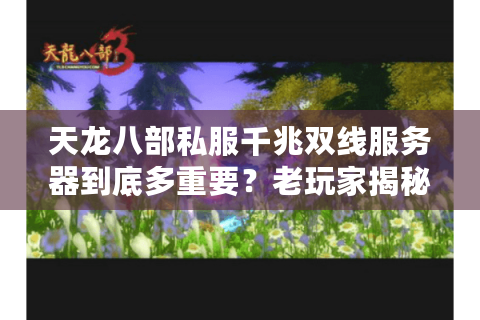 天龙八部私服千兆双线服务器到底多重要?老玩家揭秘选服避坑指南 天龙八部私服千兆双线服务器到底多重要?老玩家揭秘选服避坑指南
